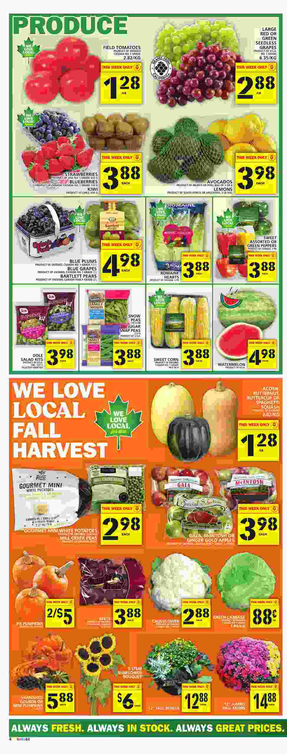 food-basics-flyer-on-september-15-21-2022