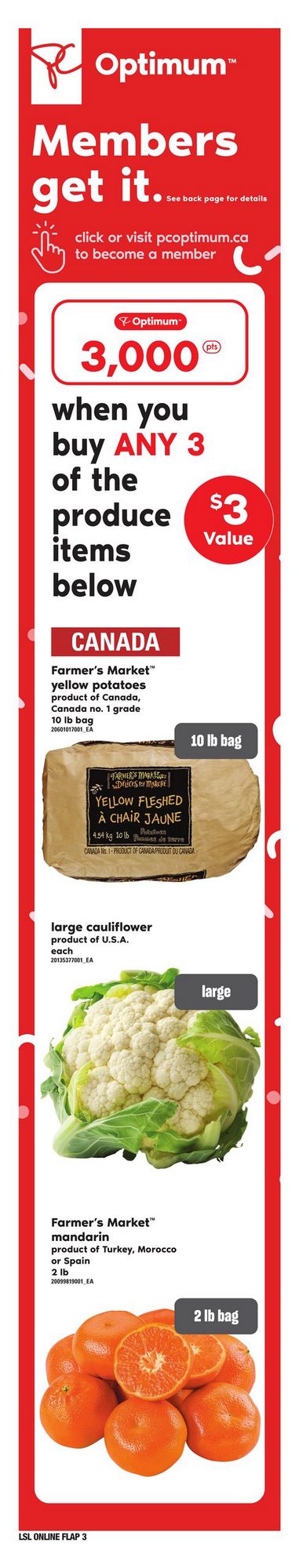 Loblaws Flyer ON January 11 17 2024   2 