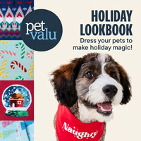 Pet Valu Holiday Lookbook November 13 - December 26 2023